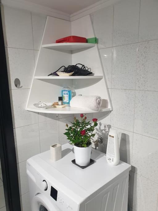 Manolis House Appartement *