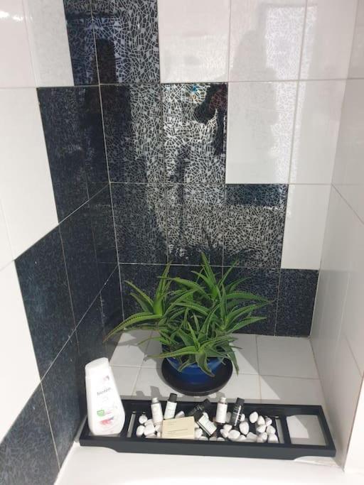 Manolis House Appartement